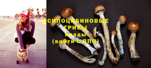 индика Лагань