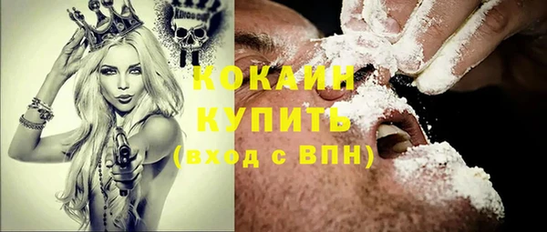 индика Лагань