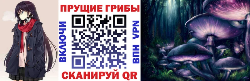 Псилоцибиновые грибы MAGIC MUSHROOMS  продажа наркотиков  Малгобек 