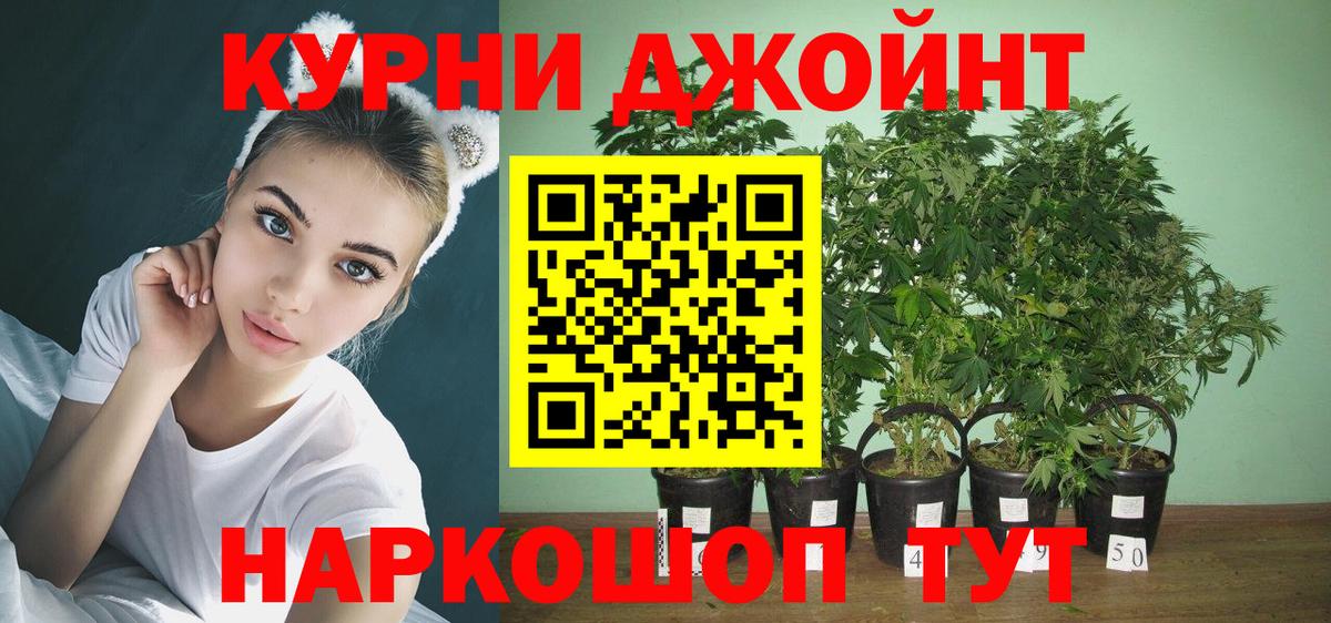 Марихуана ГИДРОПОН  Малгобек  Конопля White Widow 